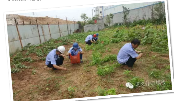 员工冒雨参加义务劳动！感动———伟志钢模板厂家