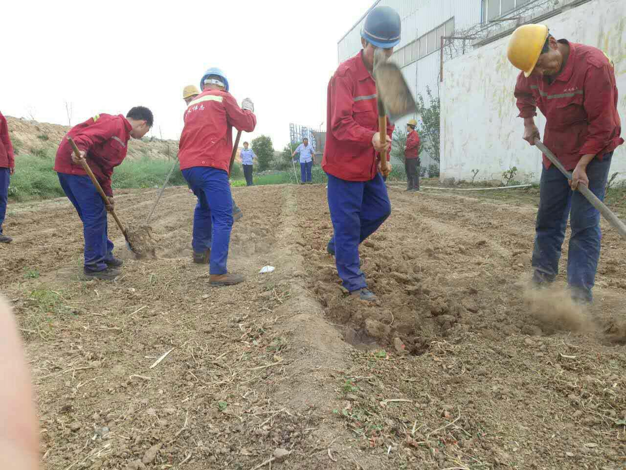 ​河南桥梁钢模板厂家渡过的五一劳动节