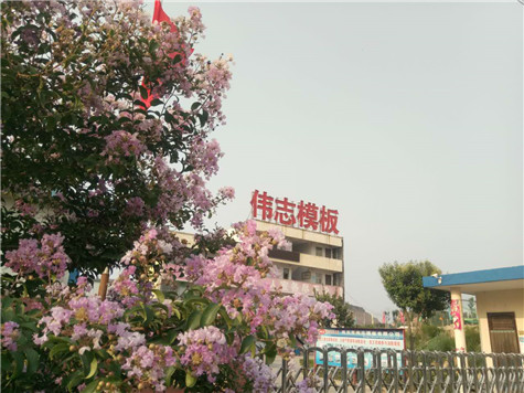 专业 专注,河南伟志模板在2018年期待您的光临