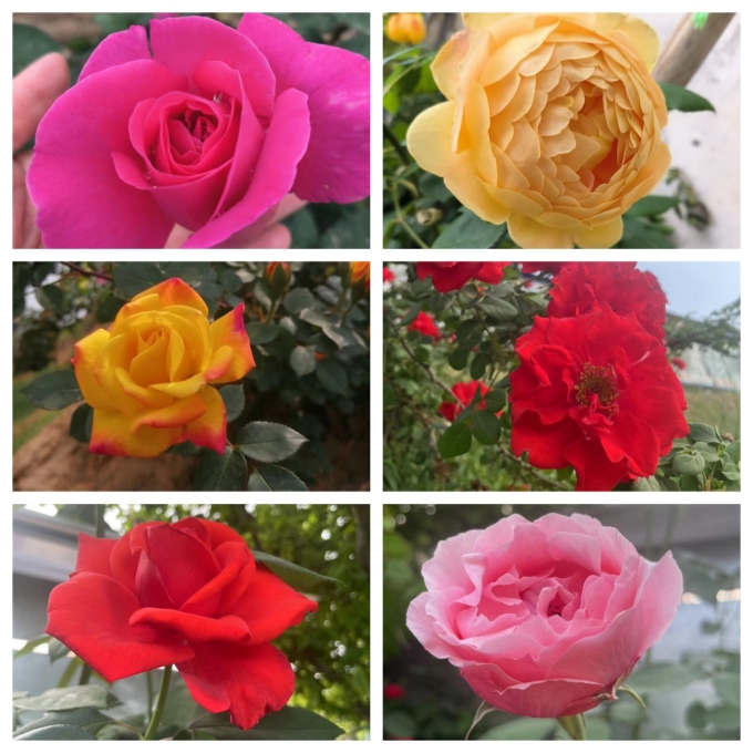 伟志钢模板厂家的“花样百出”