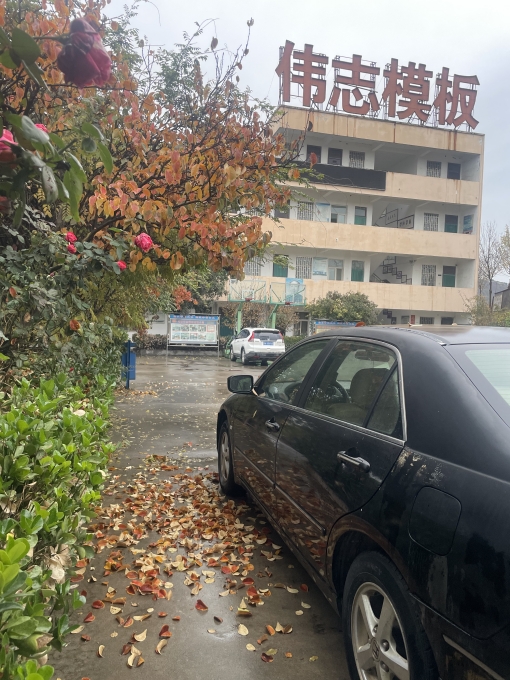 伟志模板温馨提示：注意大风降温天气！